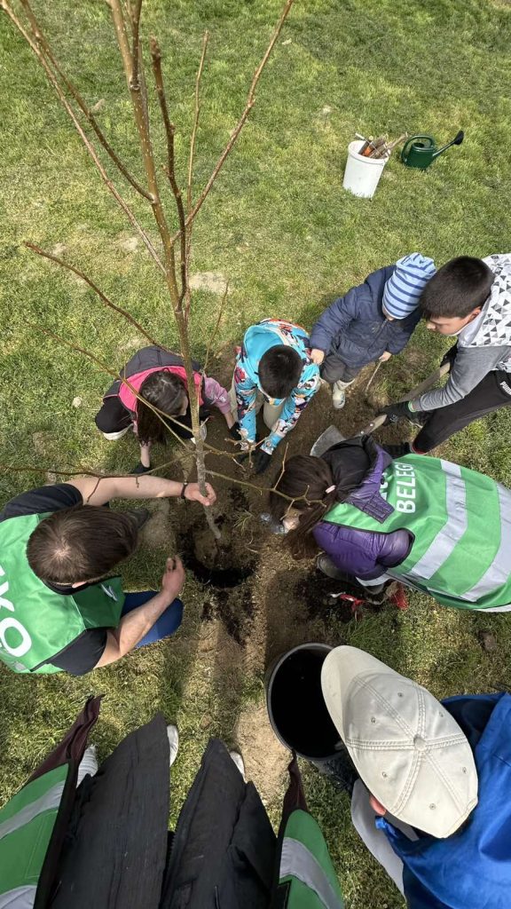 Meštani Belegiša sade drveće u školskom dvorištu