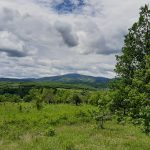 Danas je Dan planete Zemlje – ali teško da imamo šta da slavimo priroda