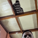 (VIDEO) Radusinović iz urušene bioskopske sale u Novoj Pazovi direktorki CZK: „Vreme je za ostavku“ Opozicija iz urušene sale poručila Lakatoš: „Ne možete držati moralne lekcije dok objekti propadaju“