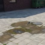Fekalne vode u dvorištu OŠ „Vera Miščević“ u Belegišu U OŠ „Vera Miščević“ u Belegišu već duže vreme traje problem izlivanja fekalnih voda u dvorištu