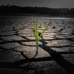 Svet će već krajem decenije probiti granicu zagrevanja od 1,5 stepeni klimatske promene