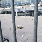 Studenti u blokadi o spomeniku: „Estetski cinizam“ i uvreda za žrtve nadstrešnice Prostor ispred Železničke stanice u Novom Sadu gde je planirano spomen-obeležje za žrtve pada nadstrešnice