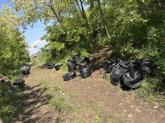 Akcija &bdquo;Zavrni rukave&ldquo; u Staroj Pazovi: oči&scaron;ćene javne povr&scaron;ine, obale i deponije &scaron;irom op&scaron;tine