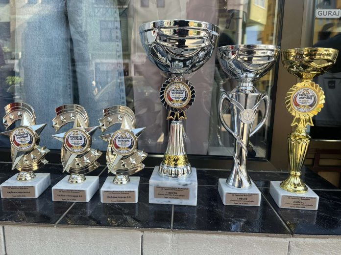 TKD Klub Imperium Pazova vicešampion Vojvodine – 11 zlata i dominacija pionira u Rumi