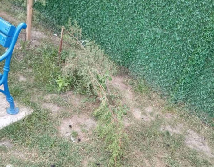 Vandali uništili park, polomili stabla i oštetili dečje igralište