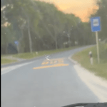 Građani opštine zabrinuti zbog autobuskih stajališta na samim izlazima iz kružnih tokova
